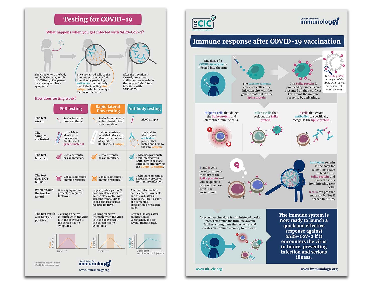 Two detailed infographics on COVID-19 testing and immune response after vaccination